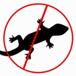 مكافحة-الابراص